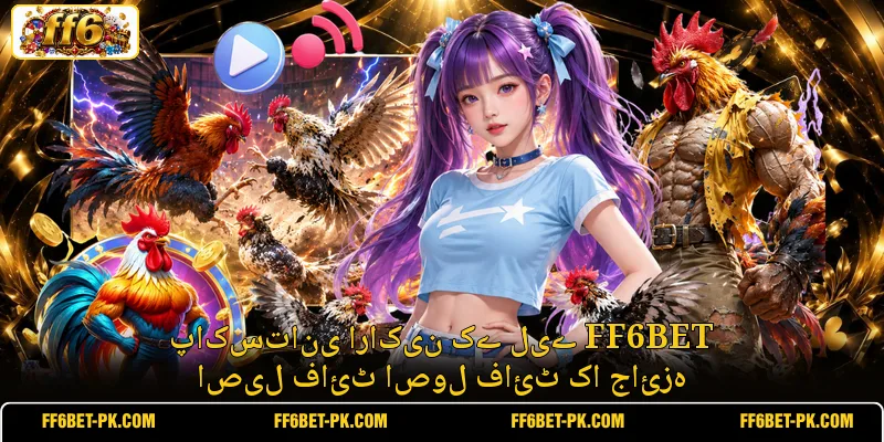 پاکستانی اراکین کے لیے FF6BET اصیل فائٹ اصول فائٹ کا جائزہ